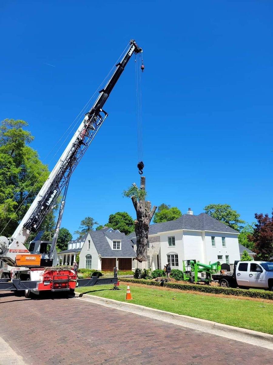 Tree Removal for Trees Unlimited of the CSRA in Augusta, GA