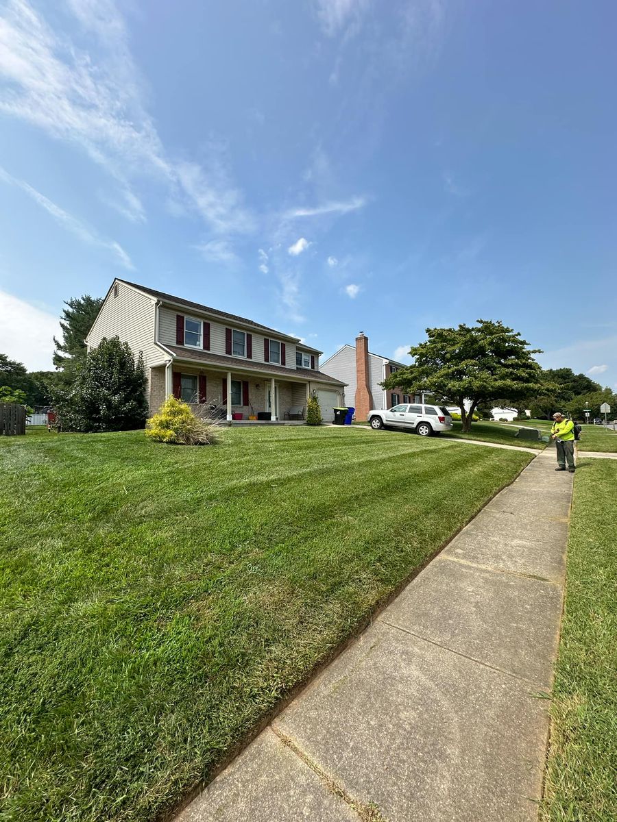 Fall Clean Up for A Better Lawn Service LLC in Bel Air, MD