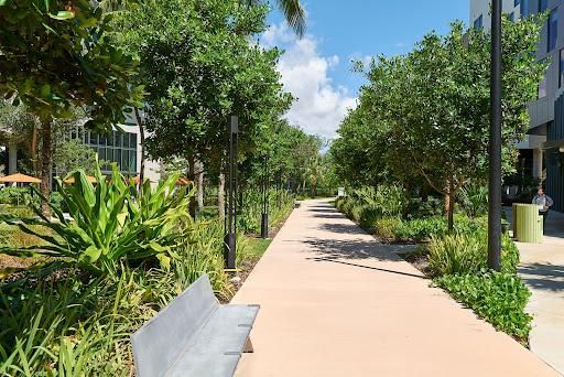 Landscaping for Arazoza Brothers Corporation in Miami, FL