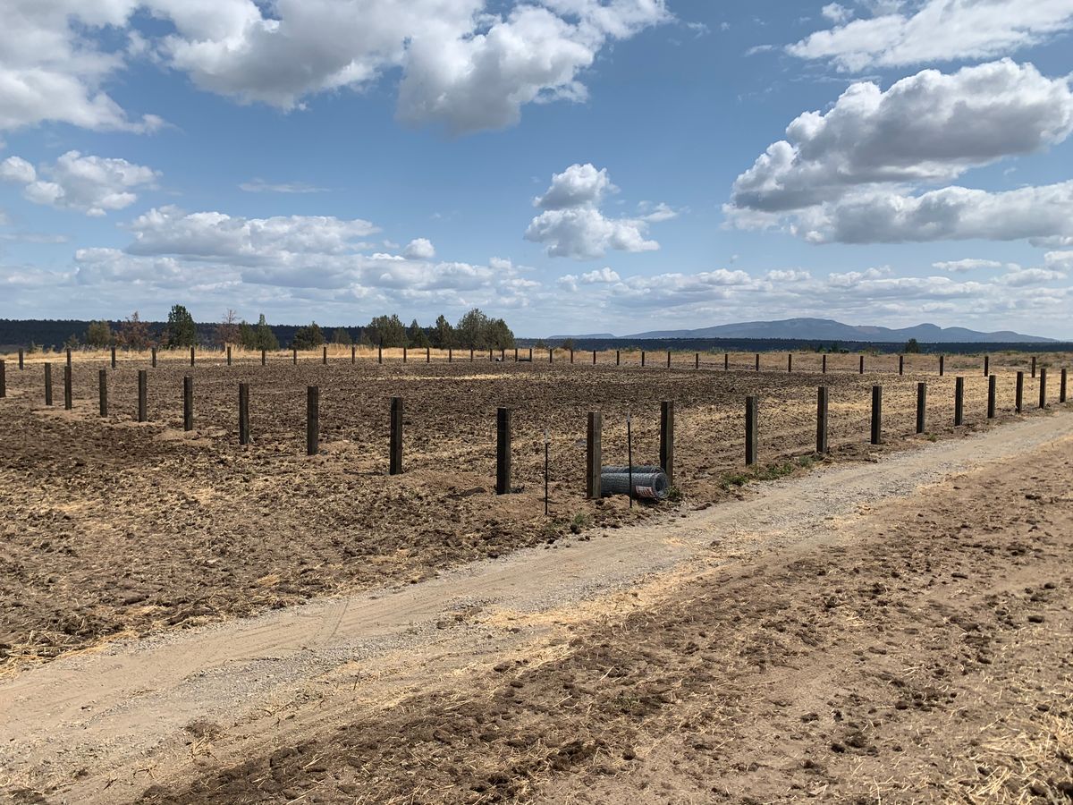 Wooden Fences for All ‘Round Boys in Prineville, OR