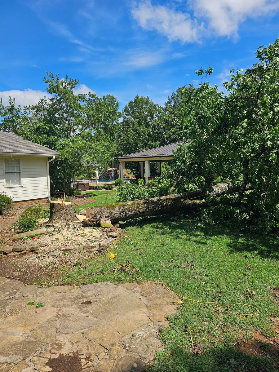 Fall Clean Up for Millers Tree Service in Saline County, AR
