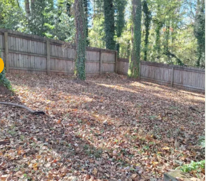 Residential Lawn Care for Olmedo Home Services in Davie County, NC