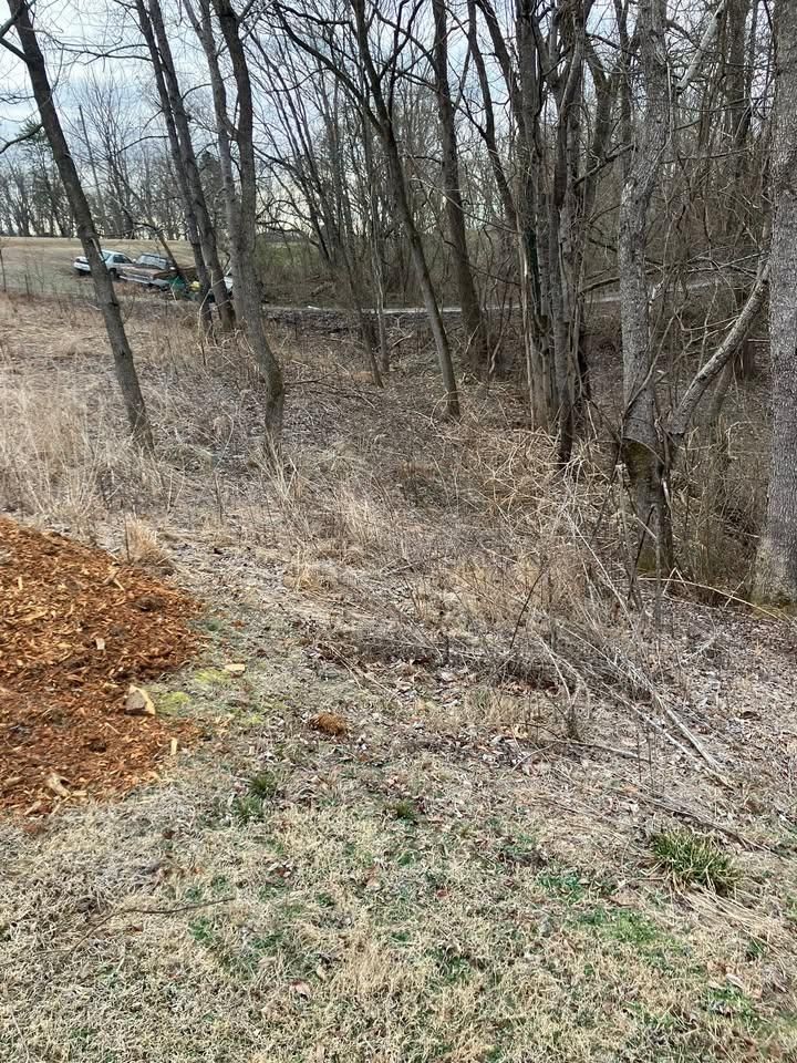 Bush Hogging for Genesis Landworks in Bluff City, TN