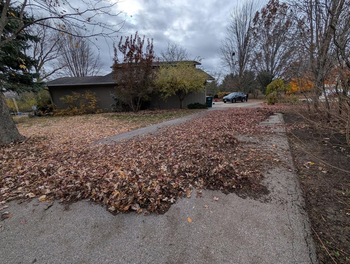 Other Lawn Services for TCB Lawn Care & Snow Removal in Sun Prairie, WI