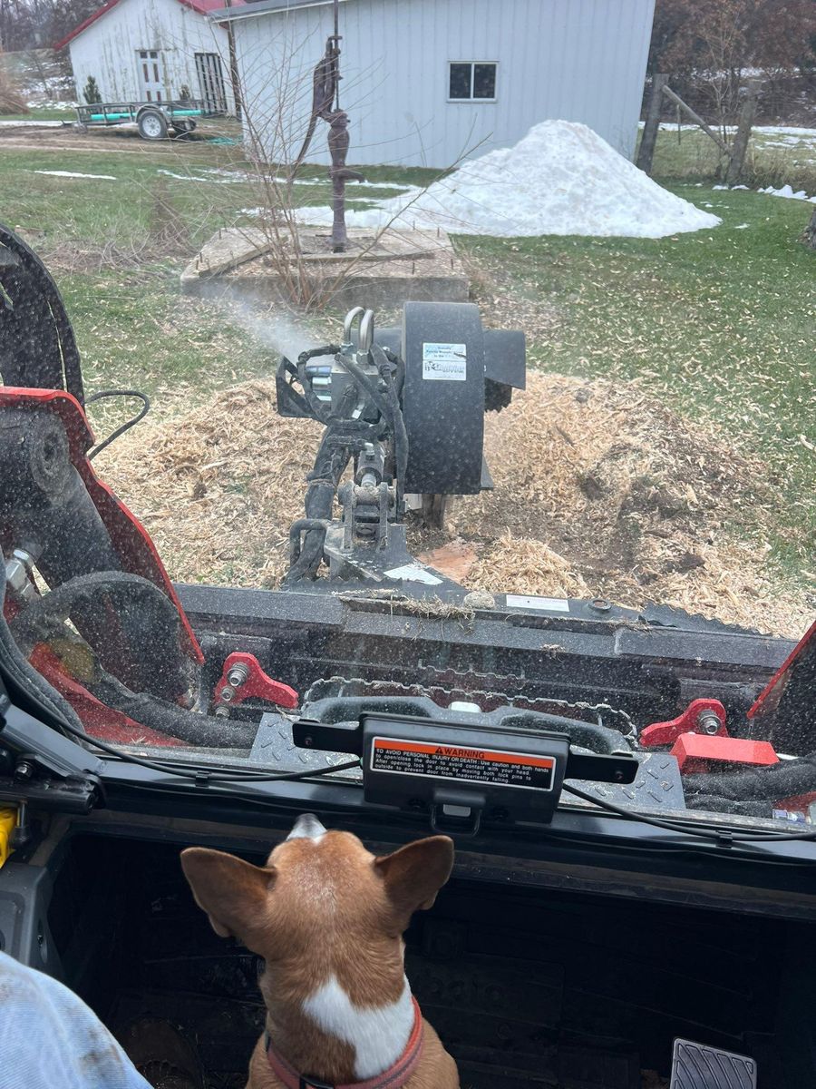 Stump Grinding for Baker Professional Services LLC in Shelbina, MO