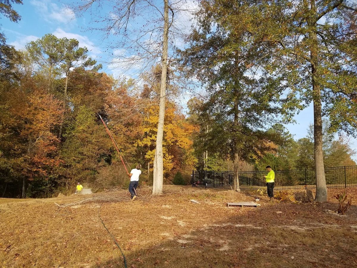 Fall Clean-Up for New Beginning Landscape & Remodel LLC in Atlanta, GA