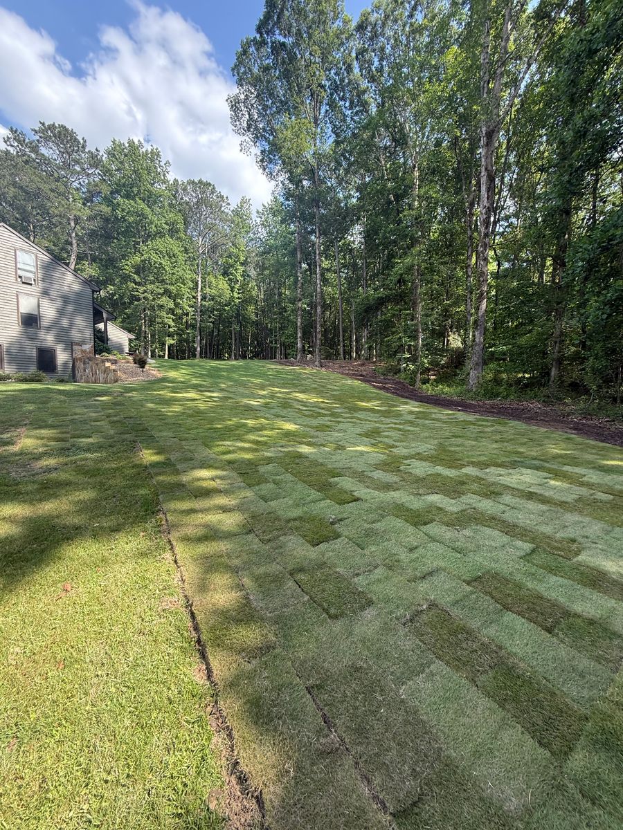 Sod Installation for Dirt Pro Land Solutions in Fayetteville, GA