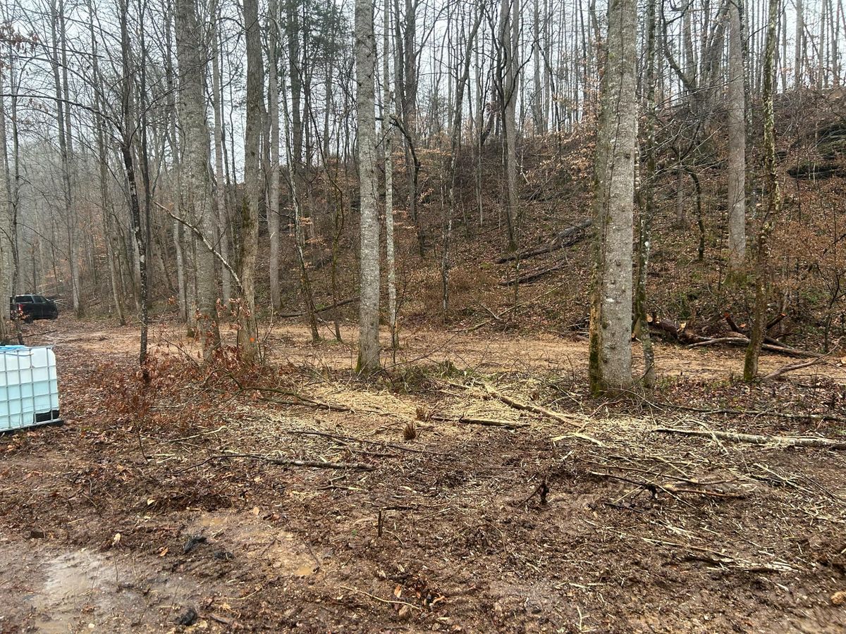 Land Clearing for Z's Land Management & Forestry Mulching in Smithville, TN