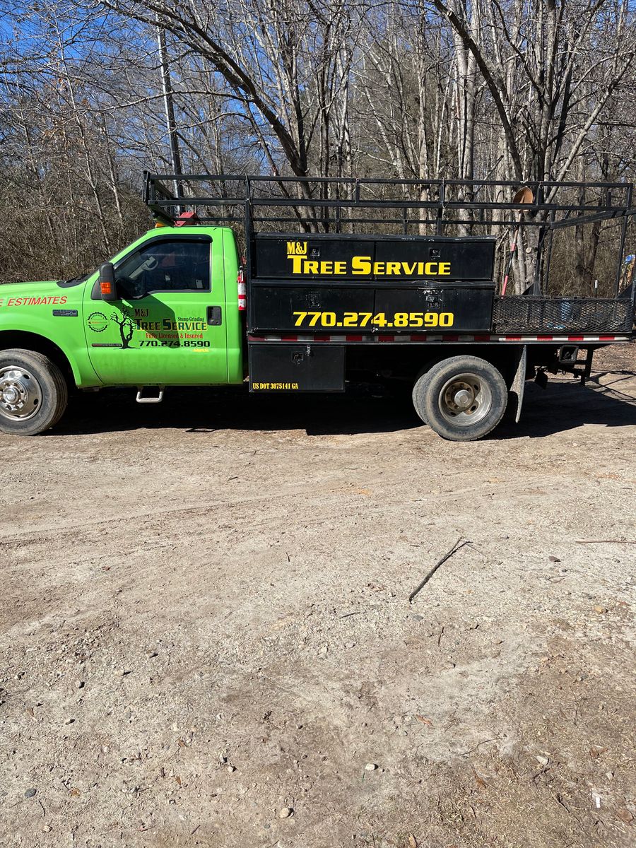 Tree Removal for M & J Tree Service & Stump Grinding in Auburn, GA
