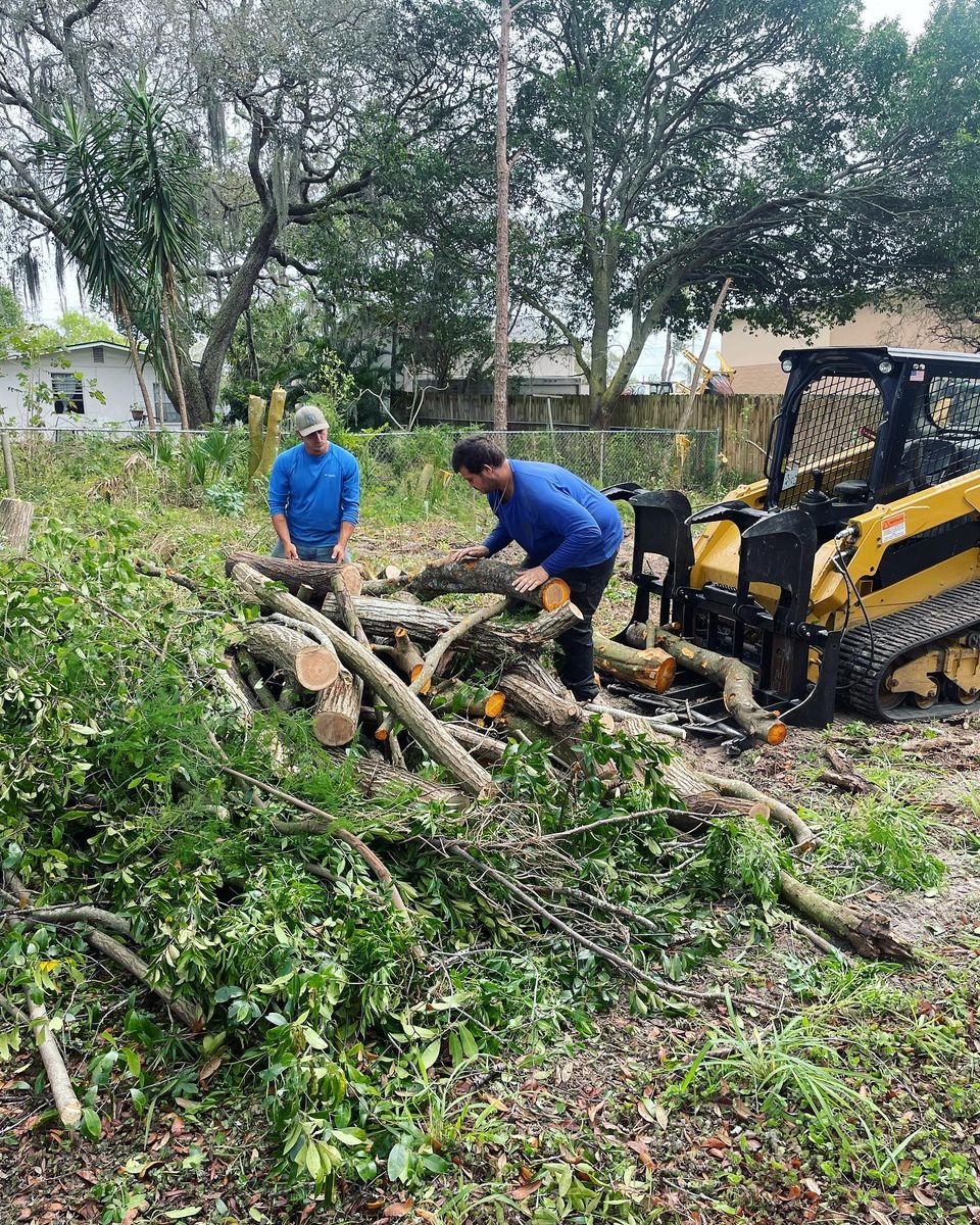 Stump Removal for EB Trees and Landscape in Holiday, FL