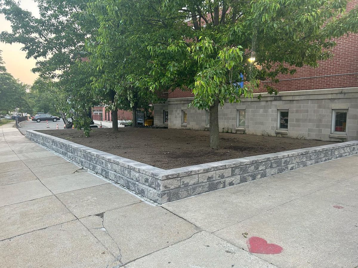 Tree Removal for Zammito Landscape Construction in Dorchester, MA