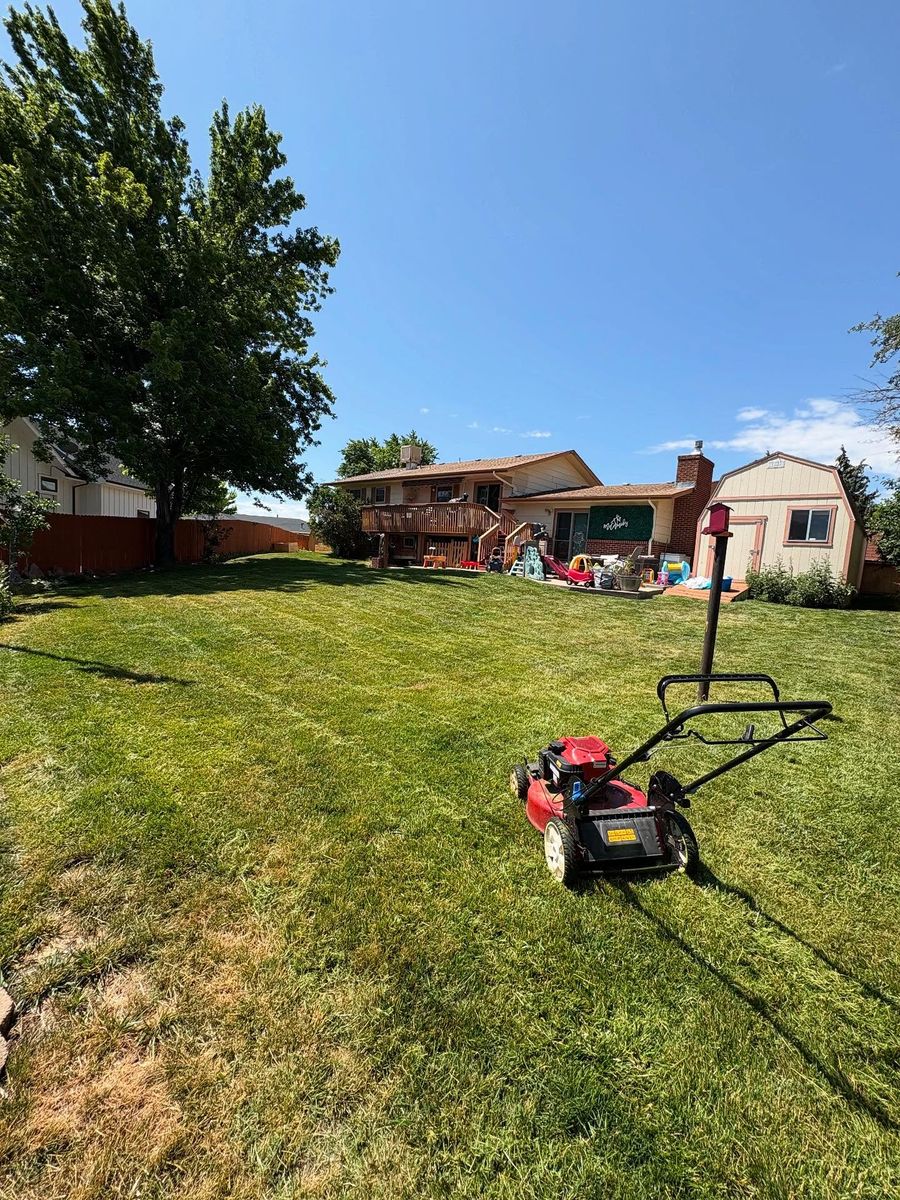 Mowing, Edging & Trimming for Denver Bros Lawn Control in Denver, CO