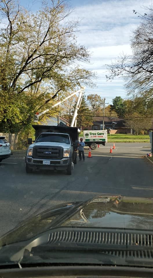 Tree Trimming for W D Giampa Lawns and Landscape Inc. in Manassas, VA