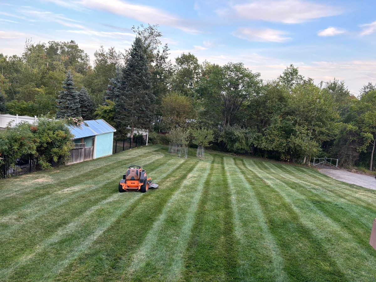 Lawn Maintenance for MDR Landscaping in Urbana, IL