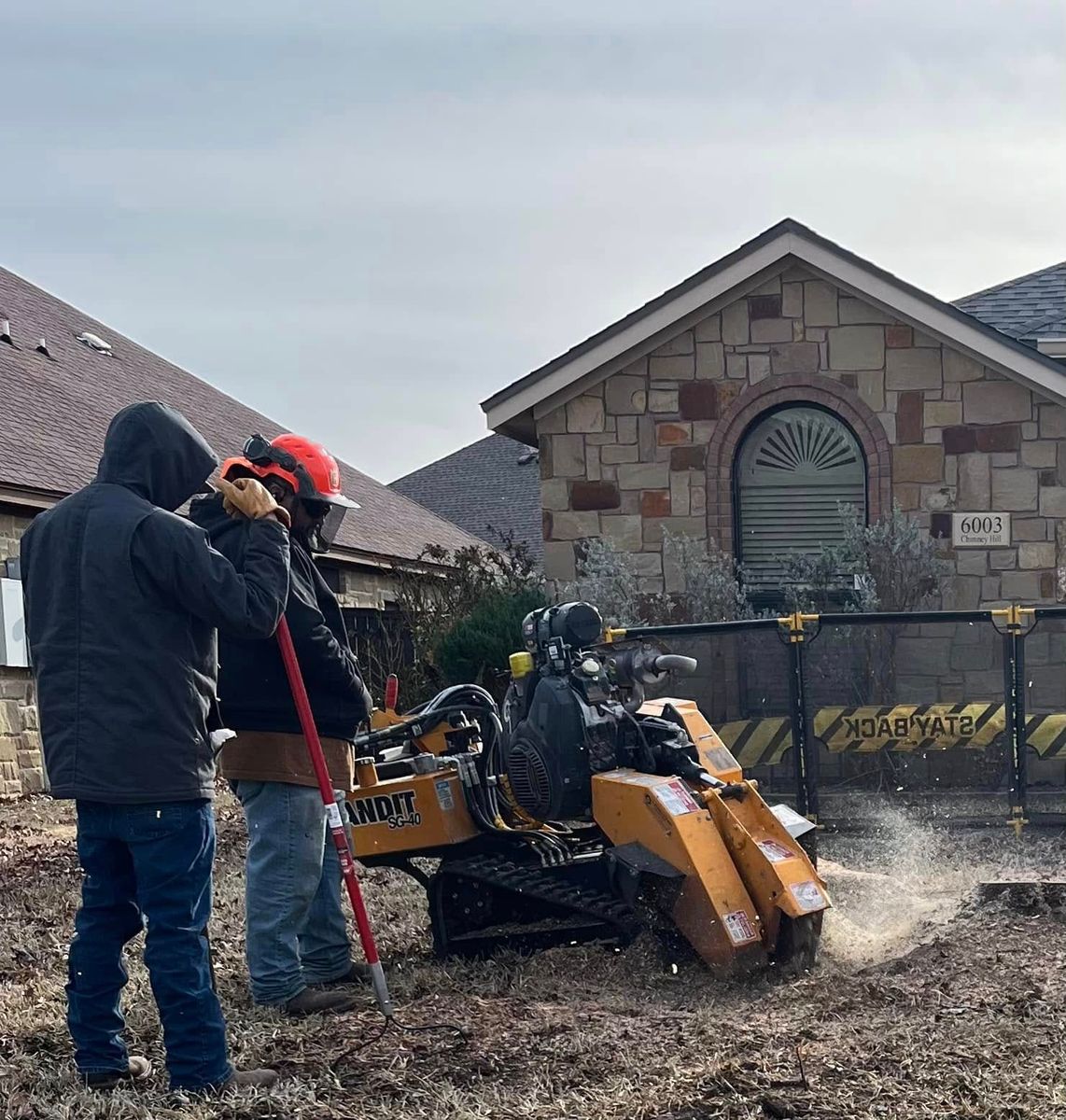Stump Grinding for West Stump Grinding in Temple, TX