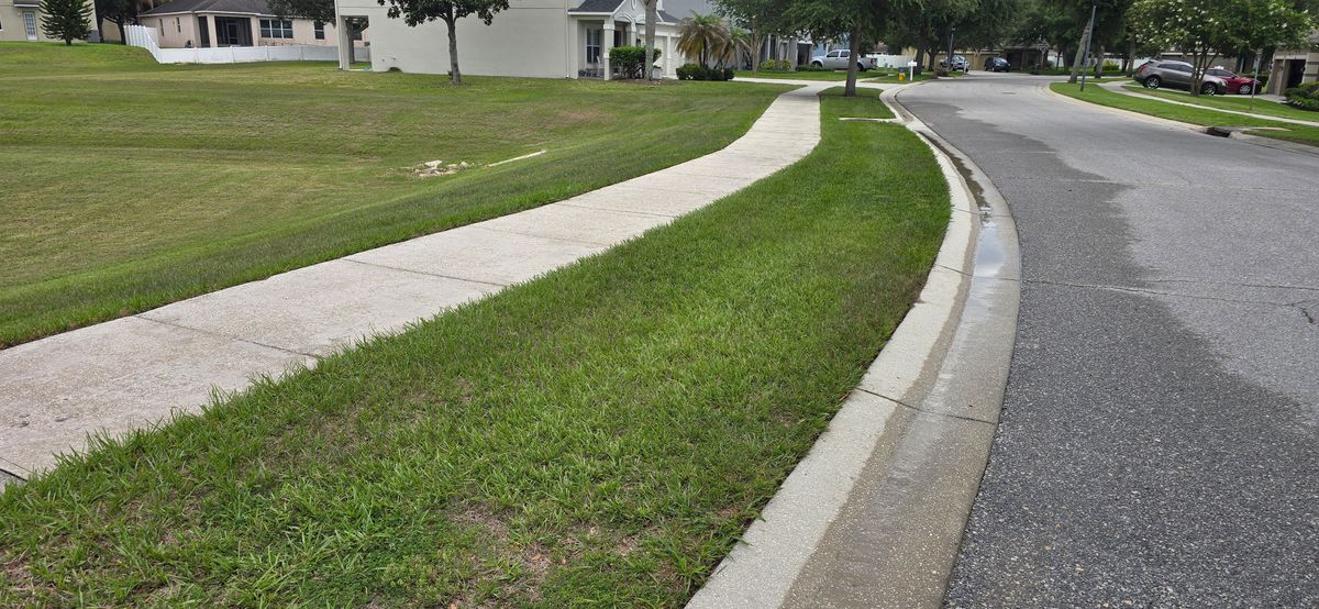 Concrete Cleaning for Blue Stream Roof Cleaning & Pressure Washing in Tampa, FL
