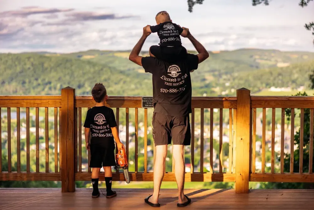 Tree Trimming for Licensed to Cut Tree Service in Athens, PA