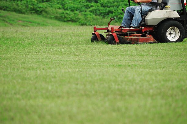 Lawn Care for Rodge Dawg Services and Property Management  in Port Huron, MI