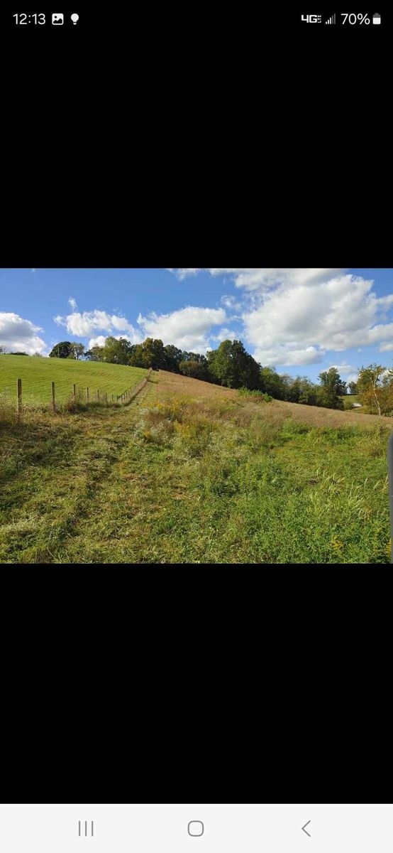 Bush hogging for M&L Lumber and Excavating in Jonesborough, TN