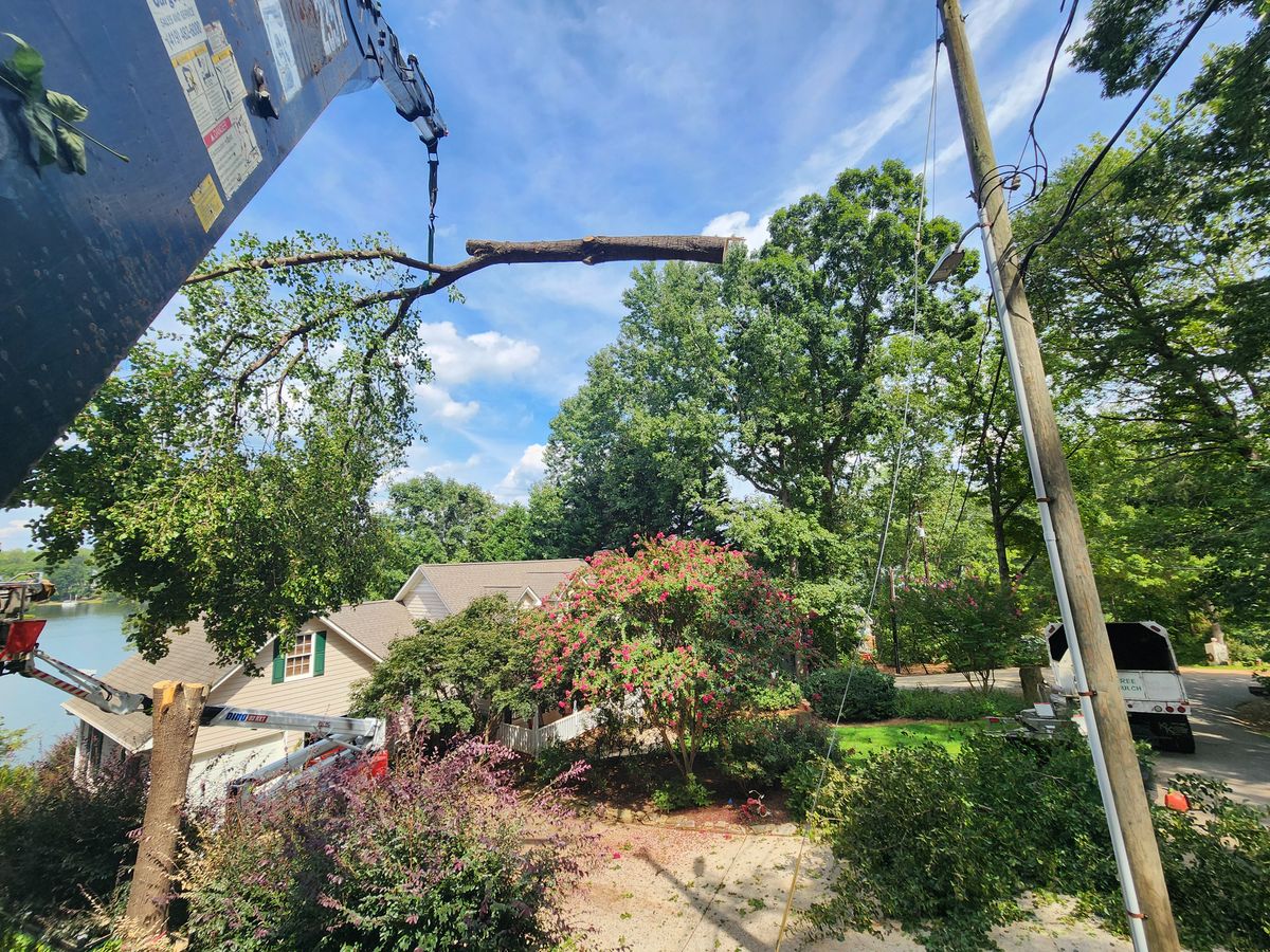 Tree Removal for Owens Tree Services in Inman, SC