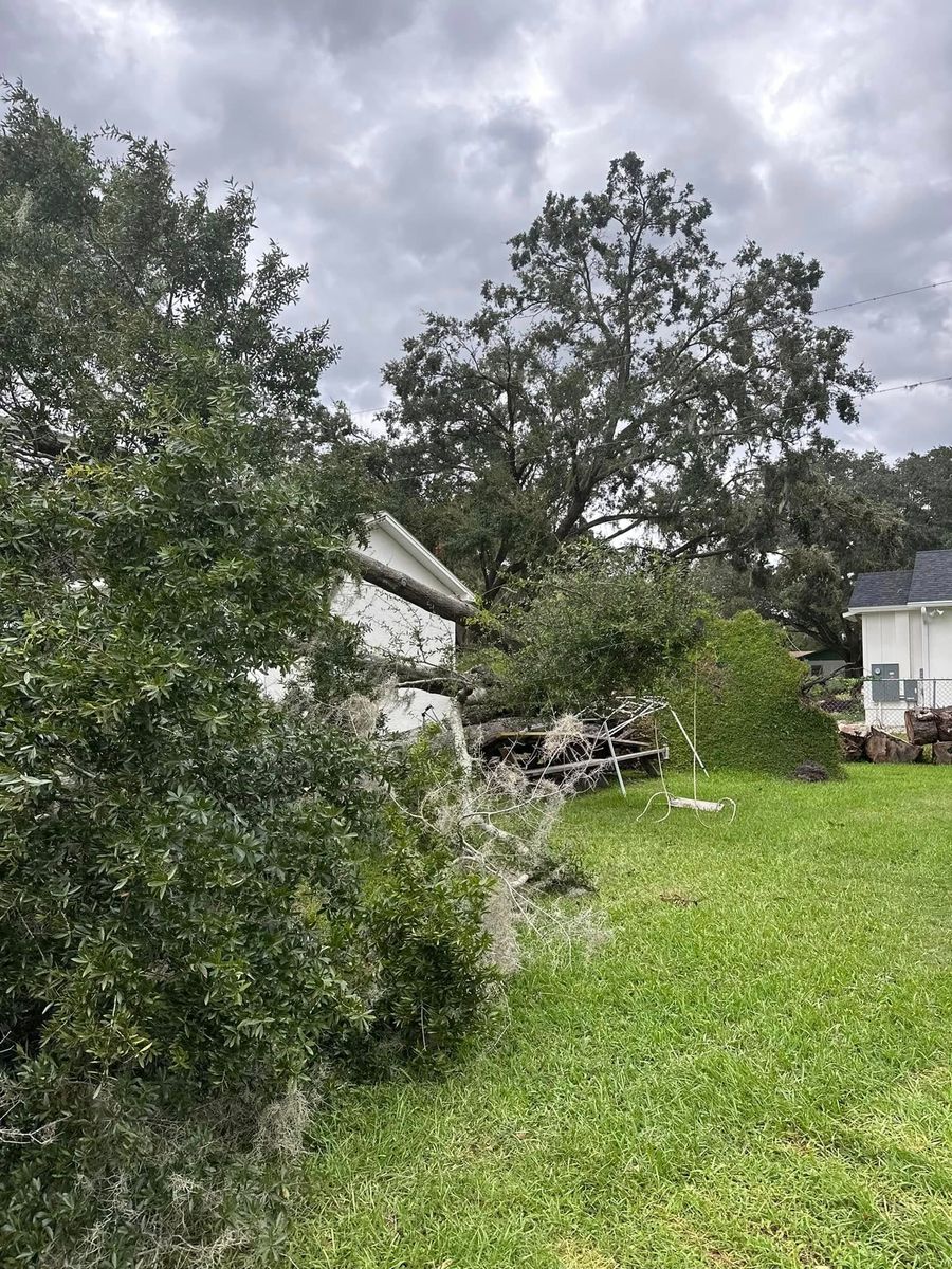Tree Trimming for EB Trees and Landscape in Lutz, FL