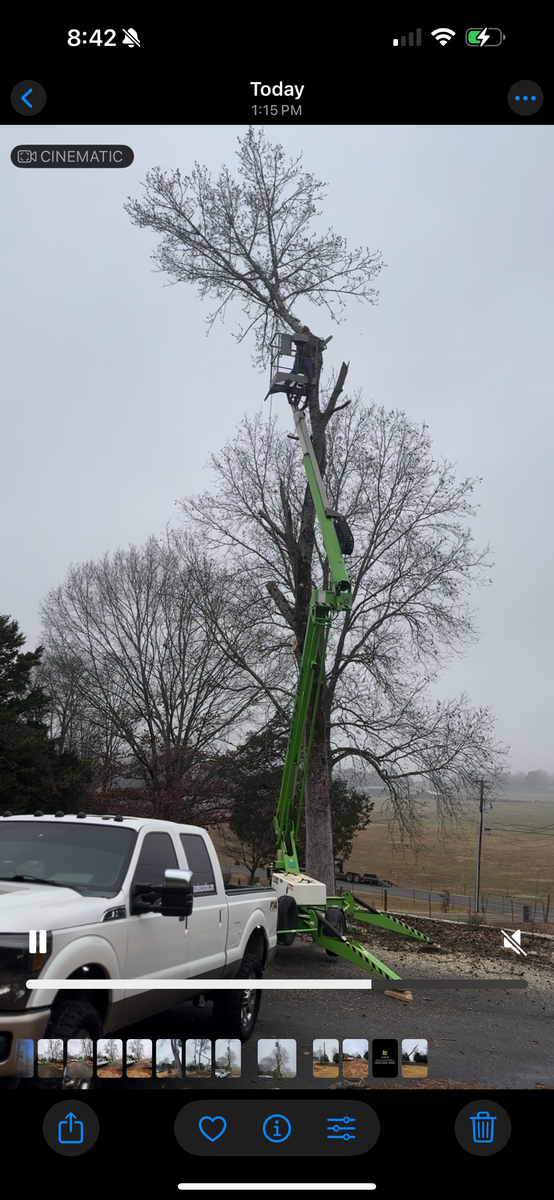Tree Removal for Leal’s Lawn Service in Dayton, TN