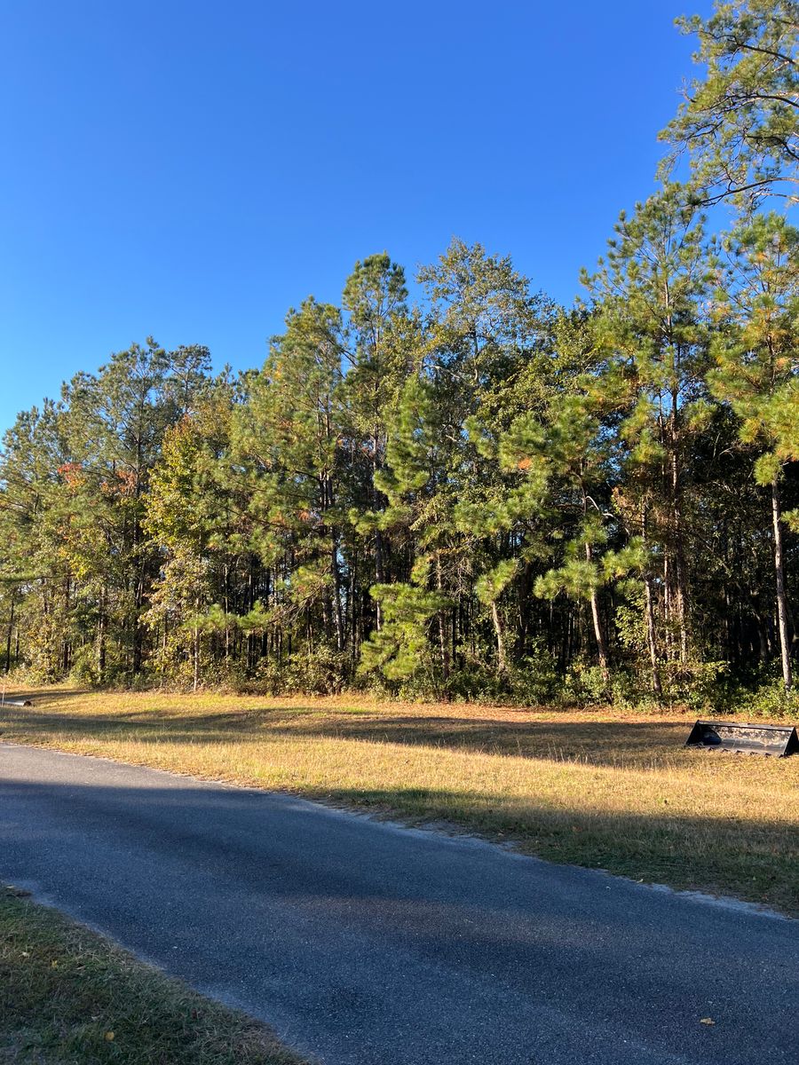 Land Clearing for Bay Hill Development in Nahunta, GA