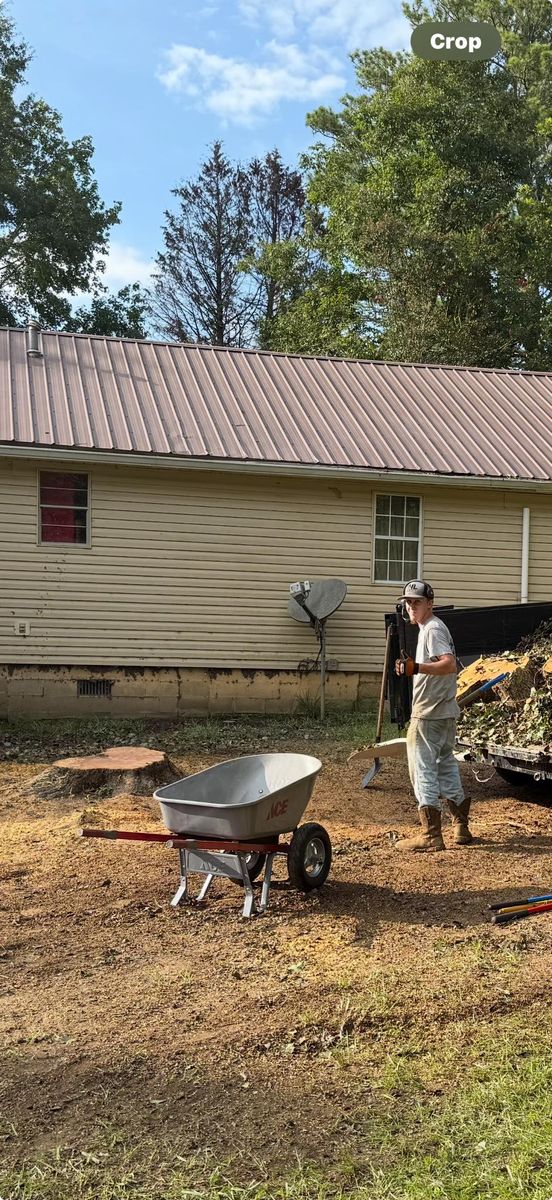 Tree Trimming for T N L - Tree and Land Service in Reynolds, GA