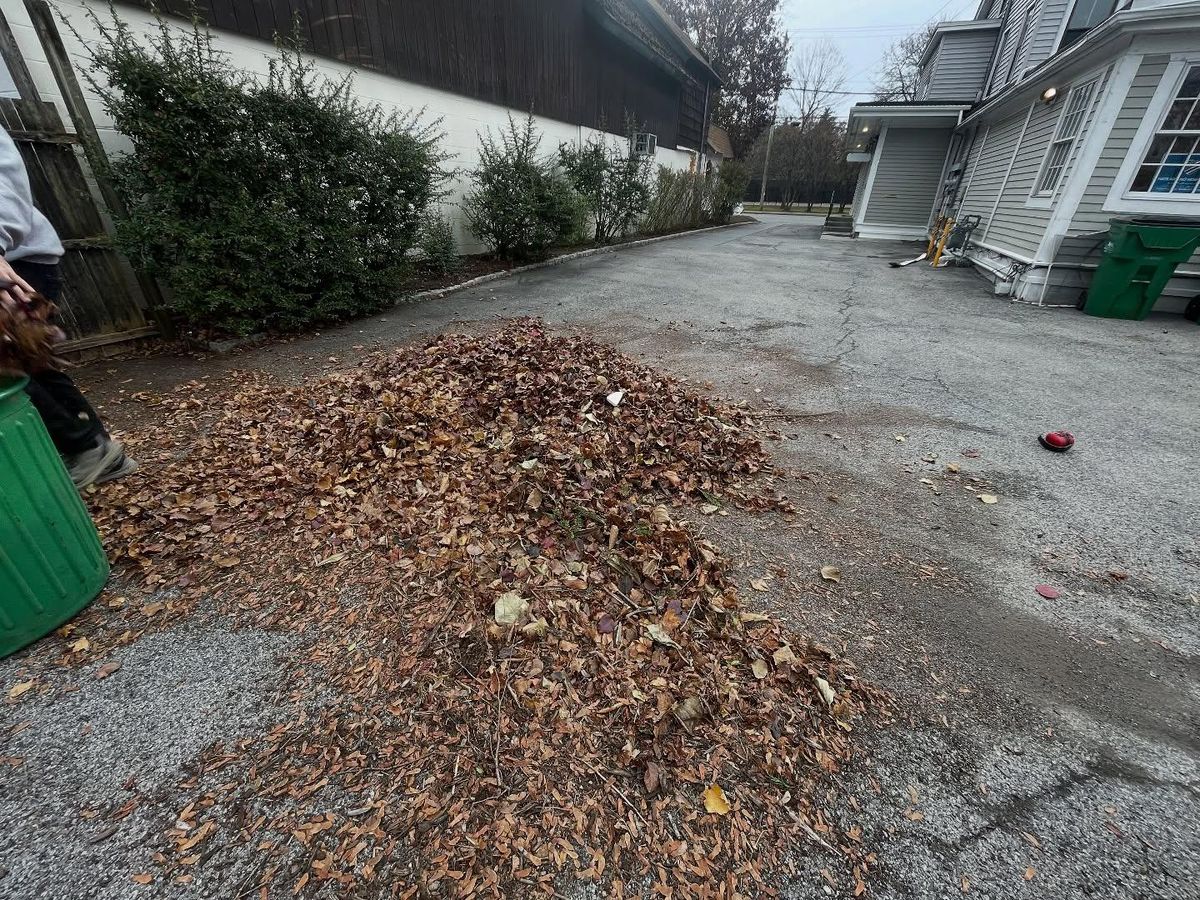 Property Maintenance for Ardisi Property Maintenance LLC in Poughkeepsie, NY 