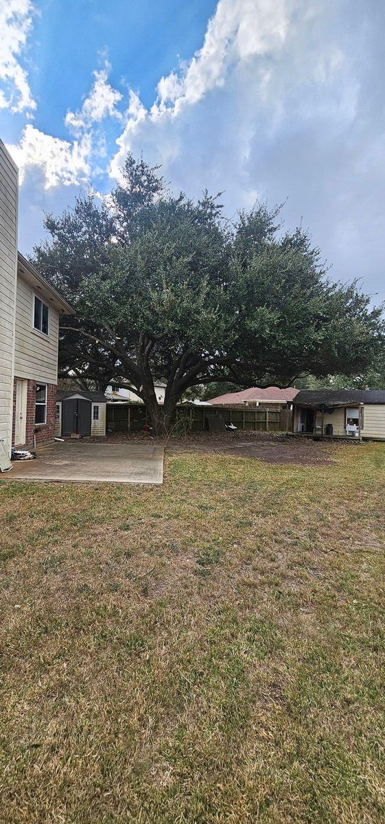 Shrub Trimming for Servin's Tree Care  in Houston, TX