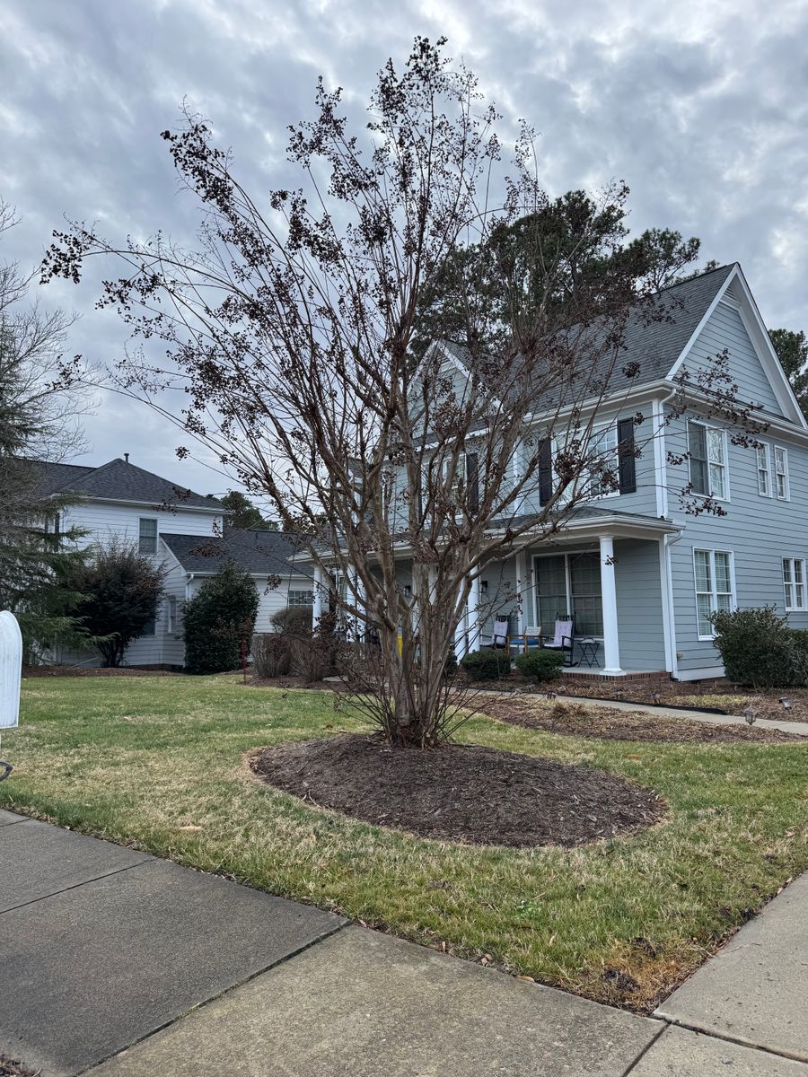 Landscaping Design for Chavez Landscaping in Pittsboro, NC