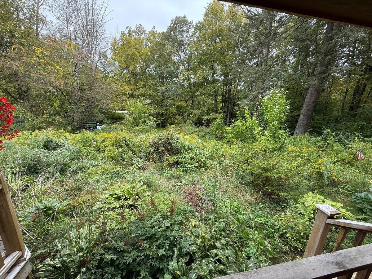 Fall Clean Up for Navedo’s Lawn Care in Putnam, CT