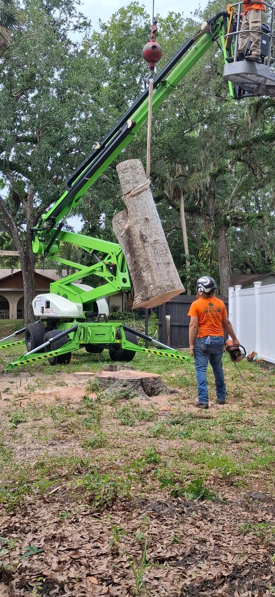 Tree Removal for Daniel Hickey’s Tree Service in DeLand, FL