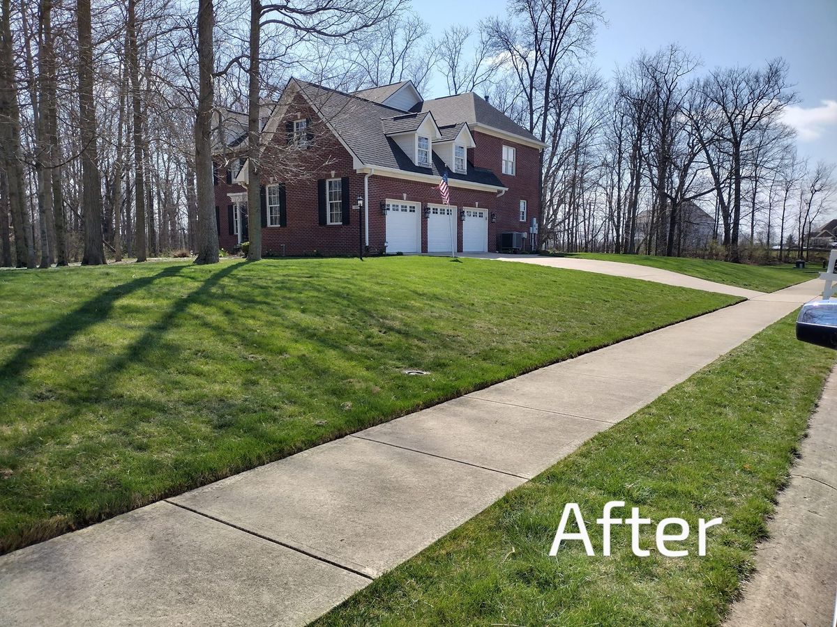 Aeration and Overseeding for Bearforce Lawn Care LLC in Greenfield, IN