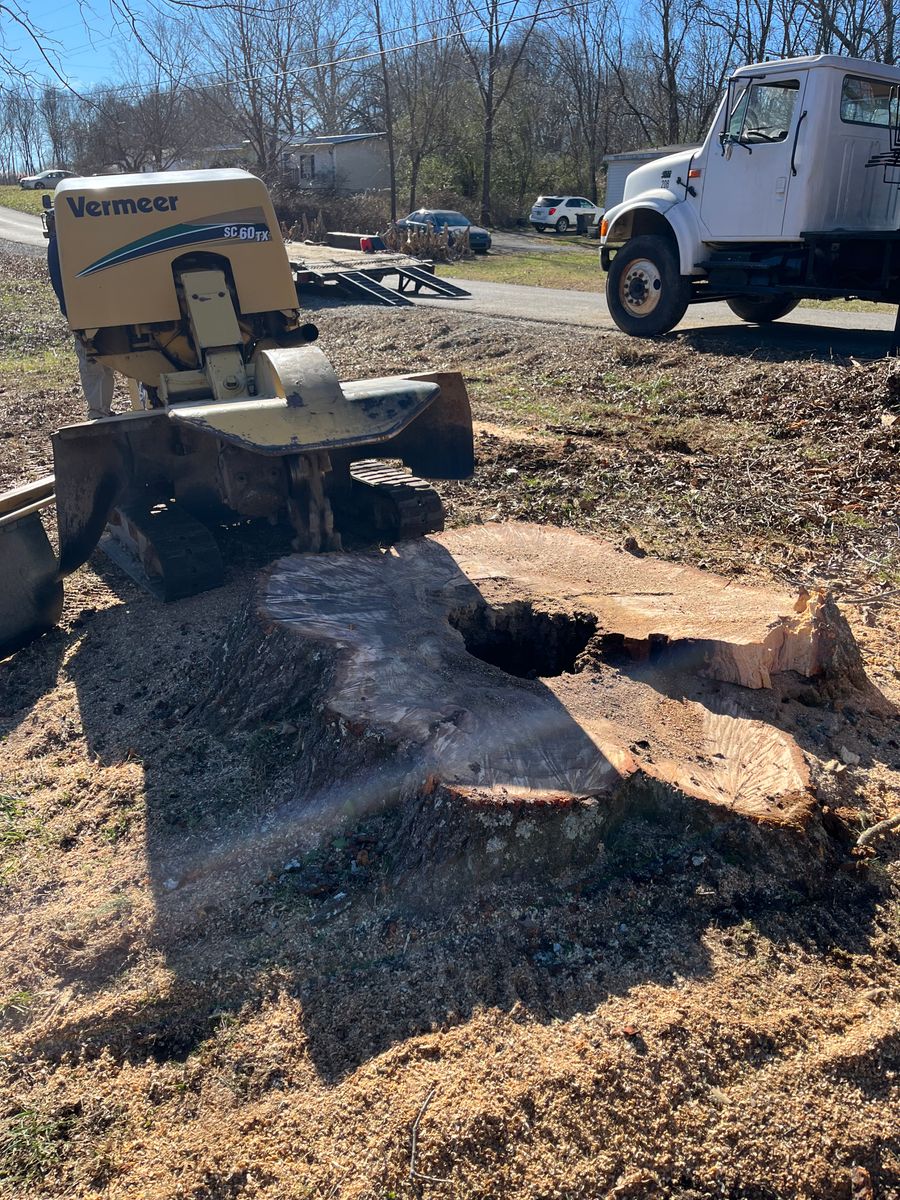 Stump Removal for T&T Lot Works in Kingston Springs, TN