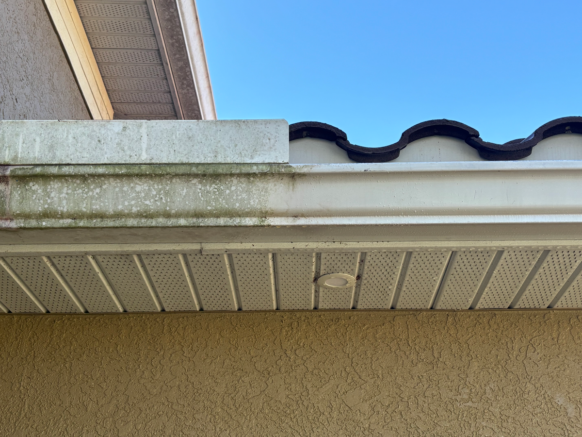 Roof And Exterior Cleaning for My Window Guys in Venice, FL
