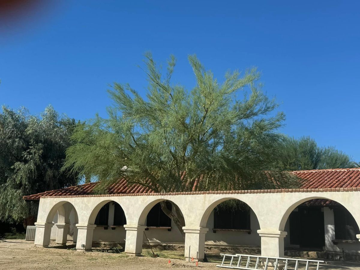 Property Beautification for The Tree Fairy in Temecula, CA