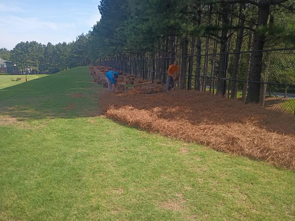 Pinestraw Installation for BAM Another Pinestraw Lot in Flowery Branch, GA