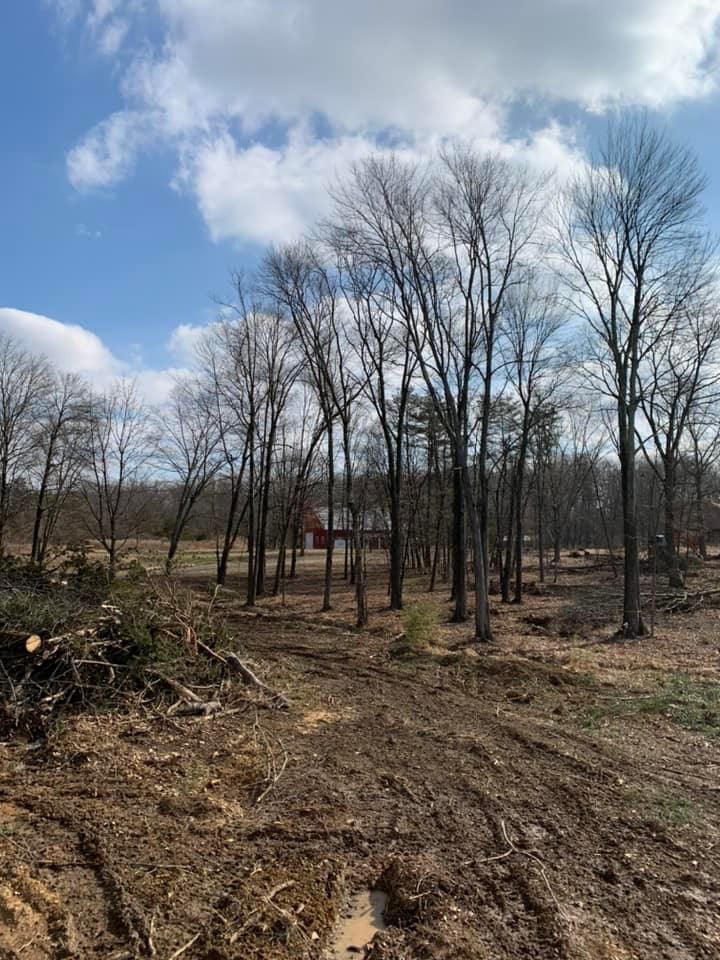 Land Clearing for Penn Top Property Services in Lake Meade, PA