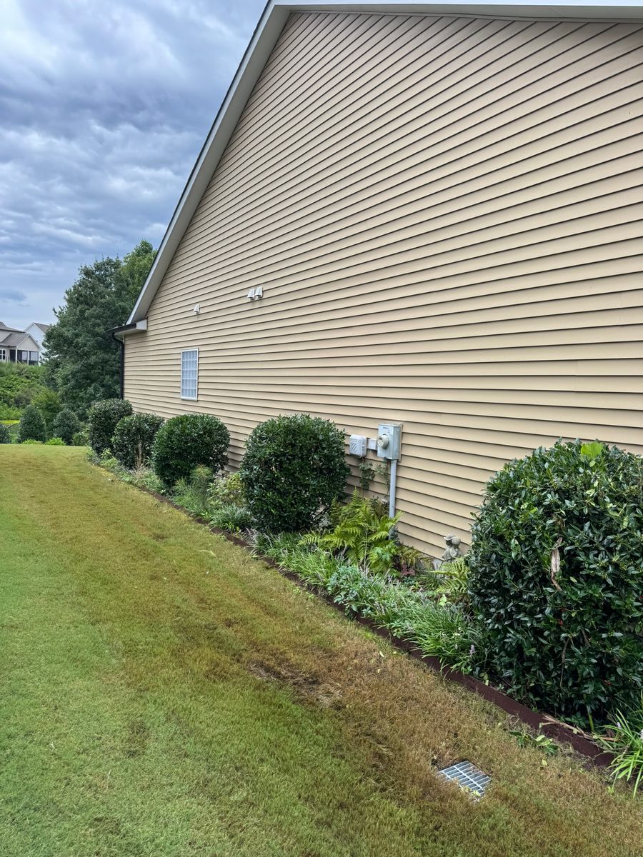 Shrub Trimming for Done2Day LLC in Wake Forest, NC