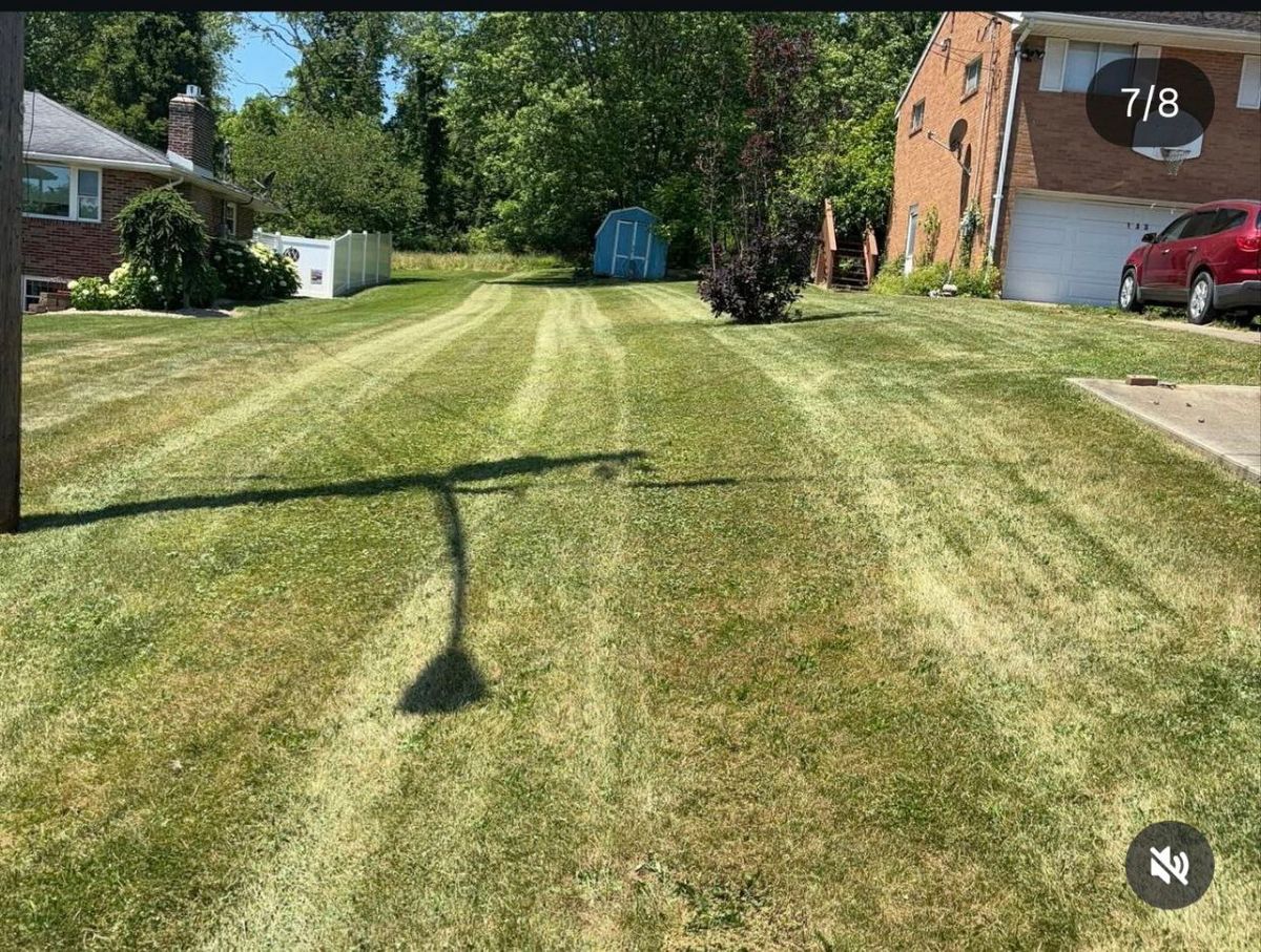 Spring & Fall Clean Up for Cam Yardz in Washington, PA