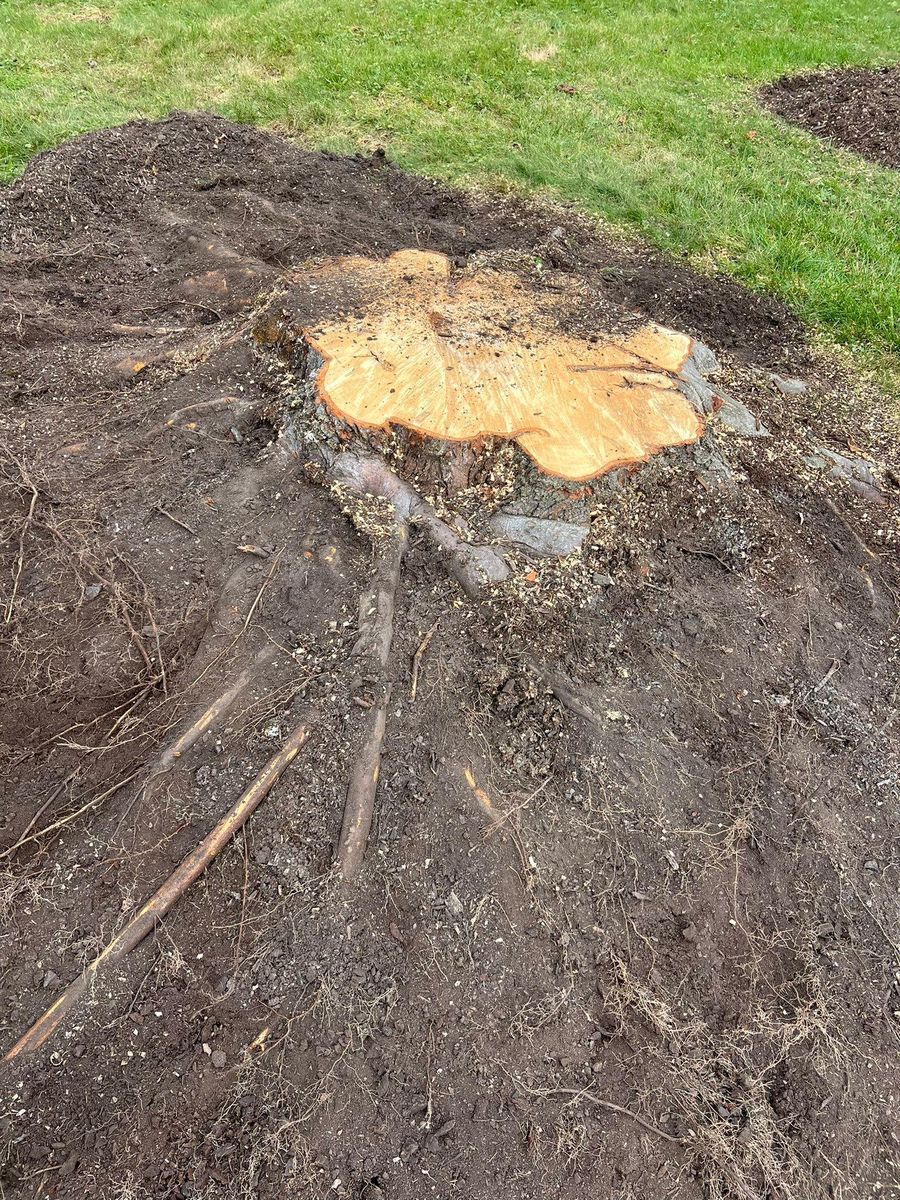 Shrub Trimming for Lopez Landscaping and Hardscapes in Scranton, PA