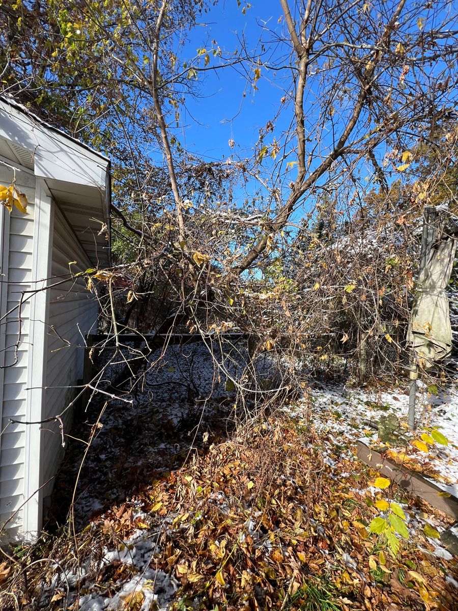 Land clearing for Alltimate Outdoor Services in Warren, MI