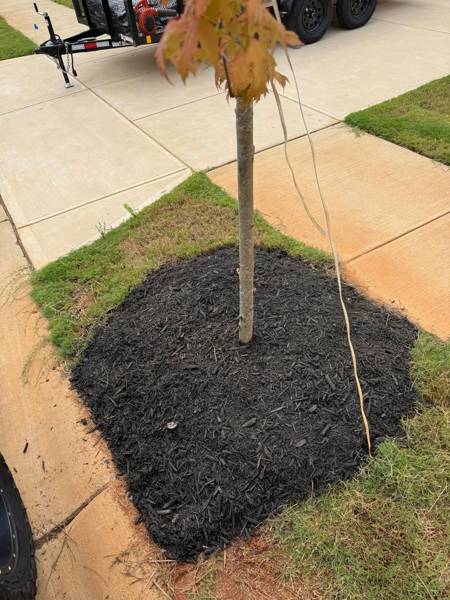 Landscape Design for Down South Tree Care and Landscaping in Maiden, NC