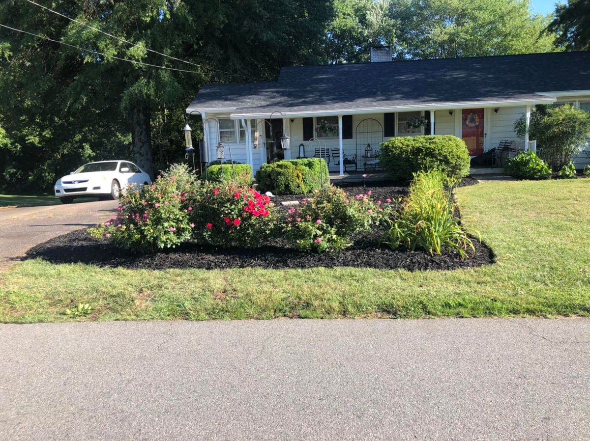 Shrub Trimming for El Perico Tree Service and Lawn Care, LLC in Boonville, North Carolina