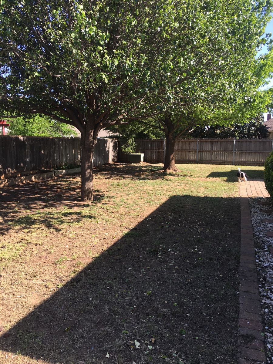 Tree trimming for Elite Horizons in Abilene, TX