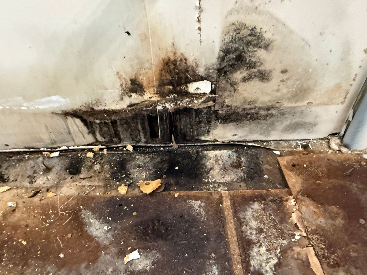 Consulting for ACM Environmental in Salt Lake City, UT