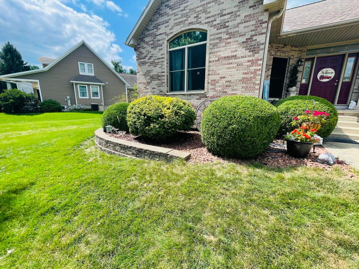 Shrub Trimming for Manny's Cleaning,Lawn Care & Snow Removal Services in Peoria, IL