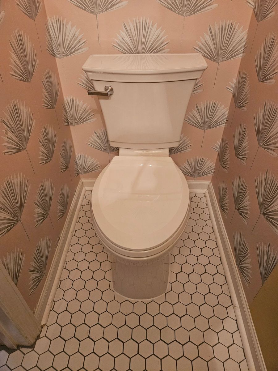 Toilet Repairs and Installation for Paradise Home Services, Licensed Plumbing Co. in Daniel Island, SC