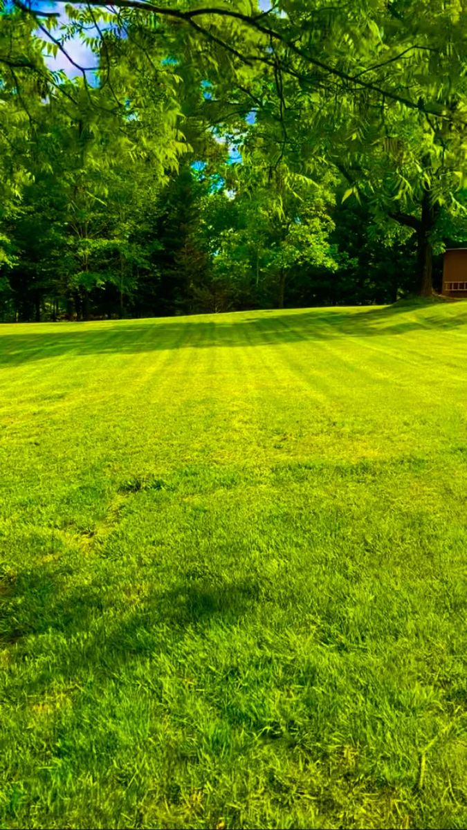 Mowing for Taylormade Lawn Management in Clarkesville, GA